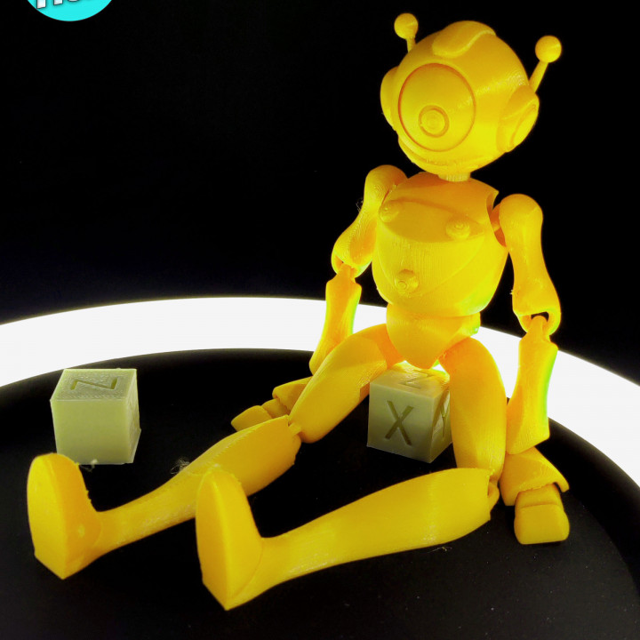Flexi Feminine Robot