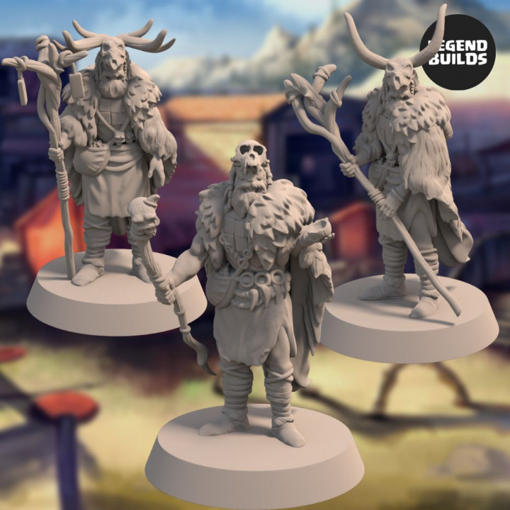 The Acenii Shamans - Set 1 - 3D printable miniature – STL file