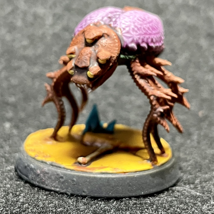 Fla'agich Parasites