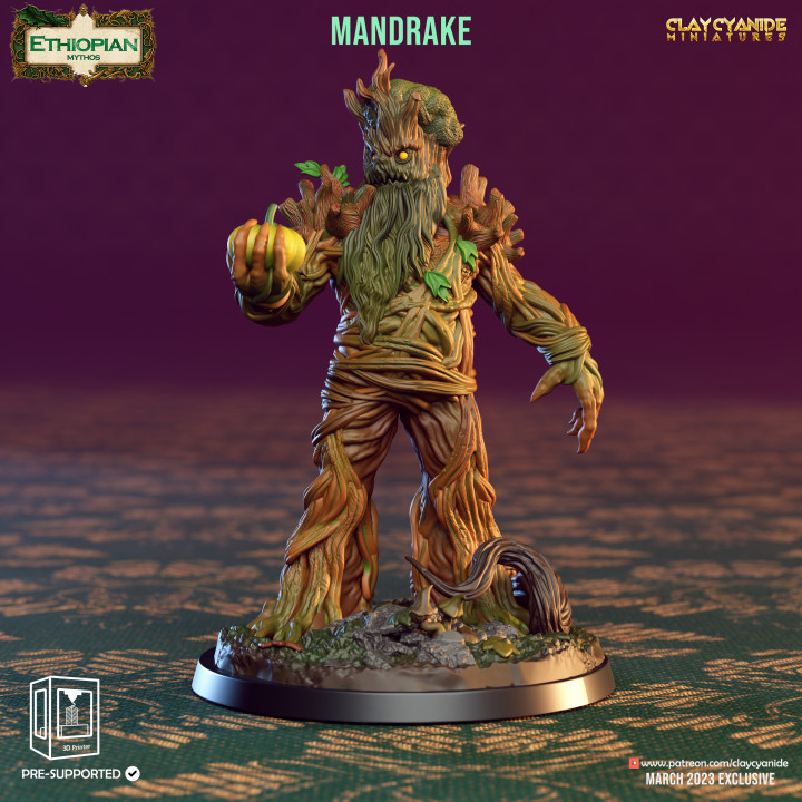 Mandrakes image