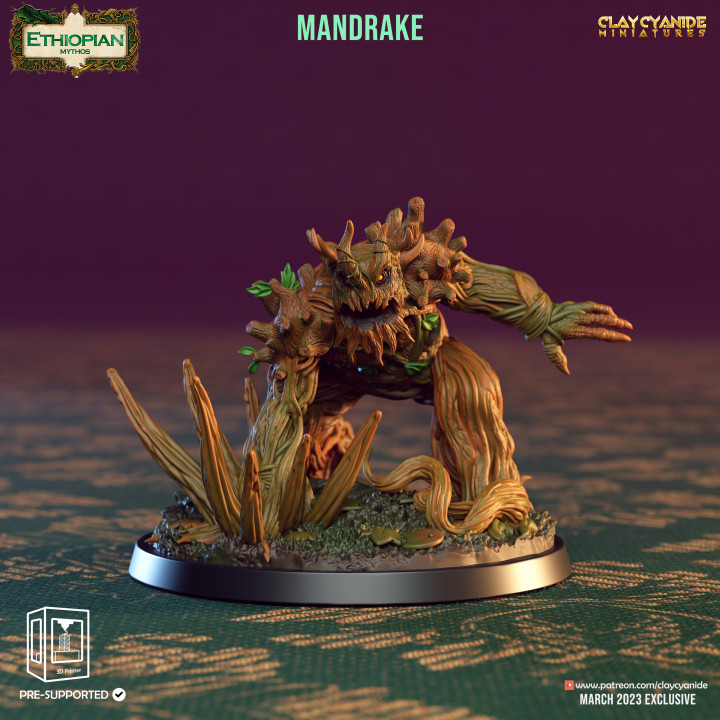 Mandrakes image