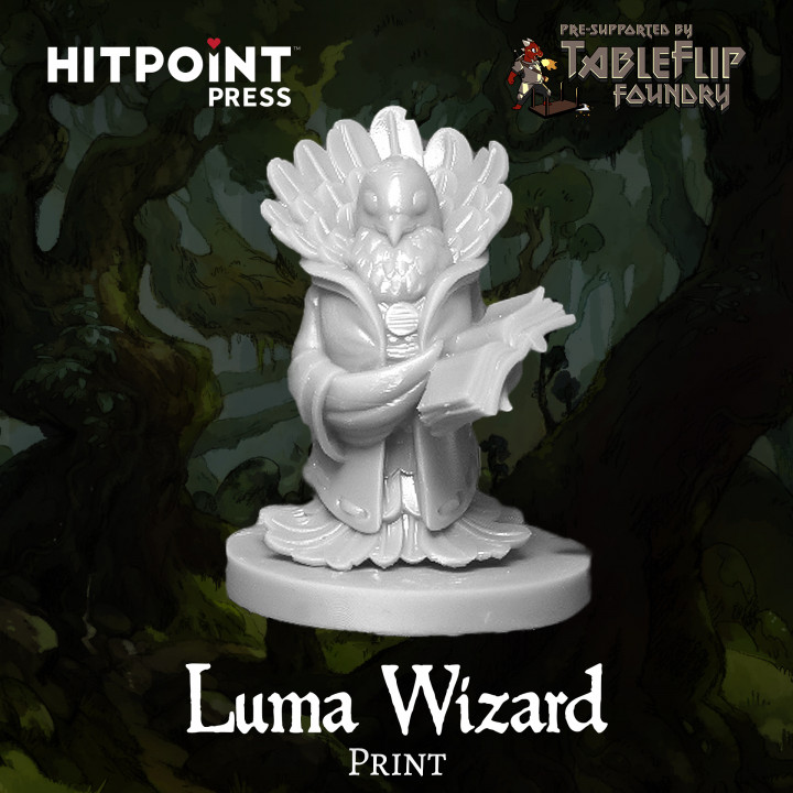 HUMBLEWOOD - Luma Wizard