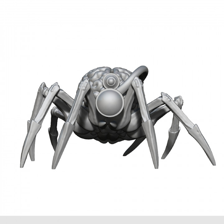 Cyborg Brain spider image