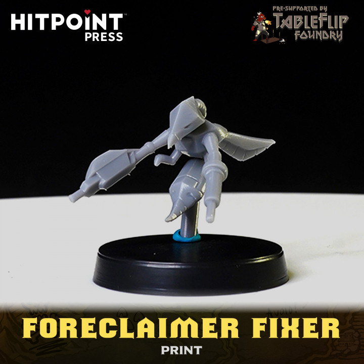 FOOL'S GOLD - Foreclaimer Fixer