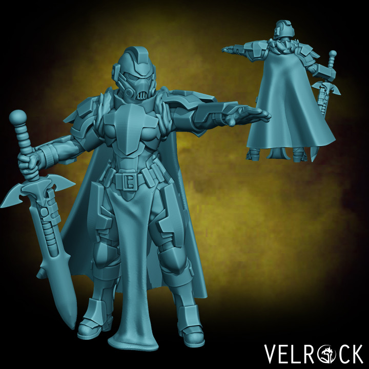Female Tempest Guardsmen Knight with Sword 2 (PRESUPPORTED) image