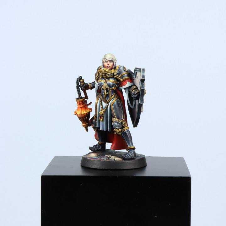 [Free] Model + Painting Guide (Diana, the War Sister Purifier) image