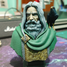 Picture of print of Odin the Wanderer (Pre-Supported)