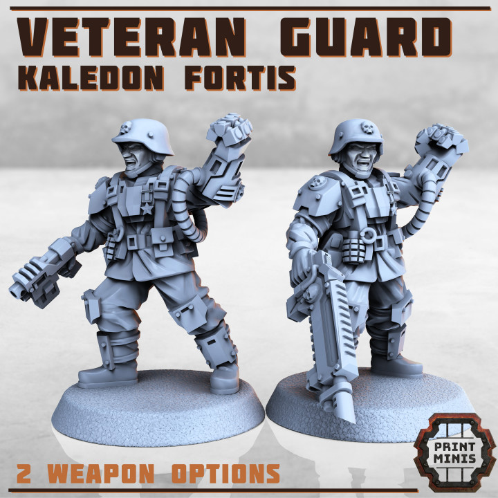 Veteran Guard - Kaledon Fortis image