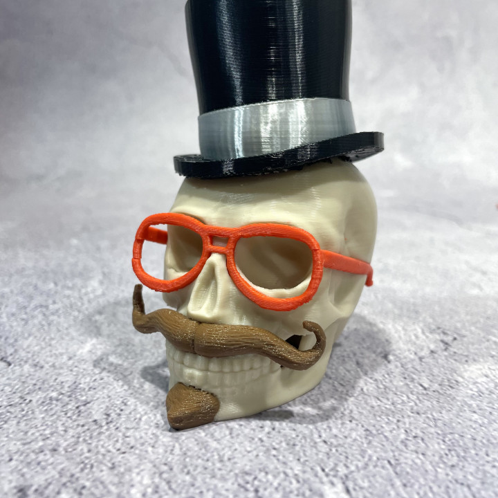 Distinguished Skull image
