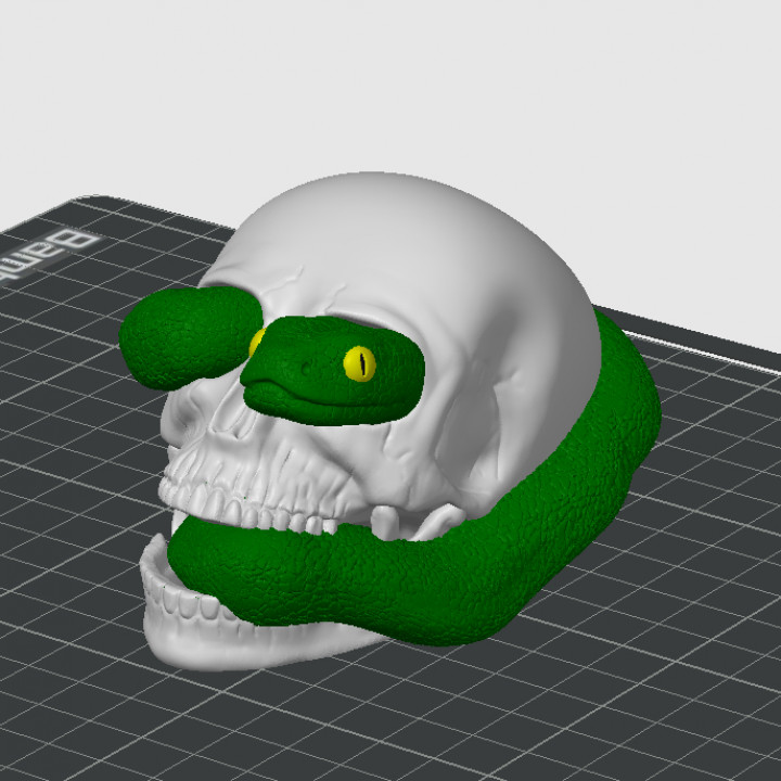 Skull with snake