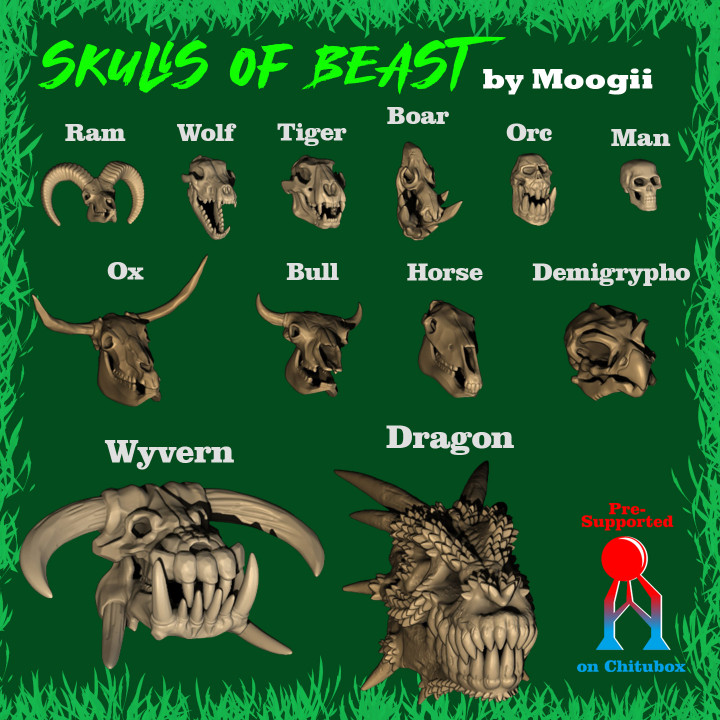 Skulls of Beasts image