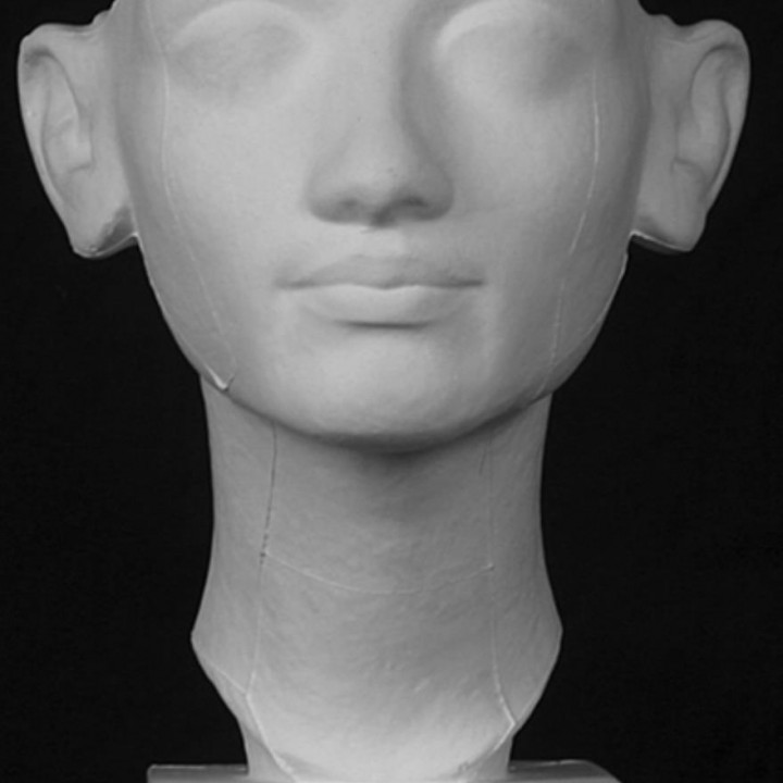 A Young Queen, Nefertiti image