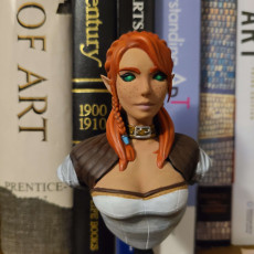 Picture of print of Elf Bust Scale 1/12