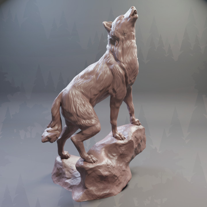Wolf (Forest animal) image