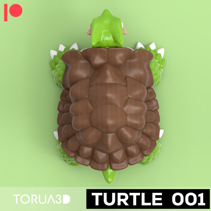 Articulated Turtle #001