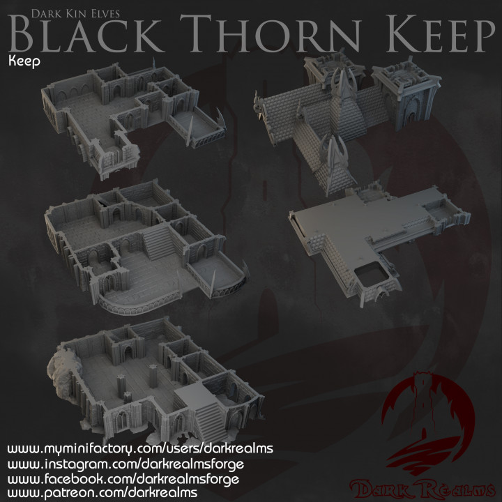 Dark Realms - Dark Kin Elves - Black Thorn Keep