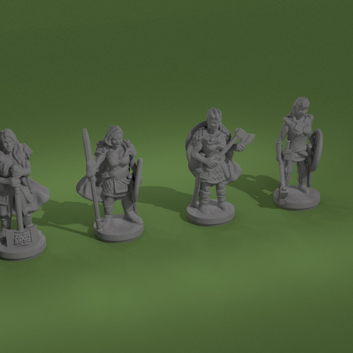 Tiny Viking Heroes for use with TTRPG or DnD style games 22mm image