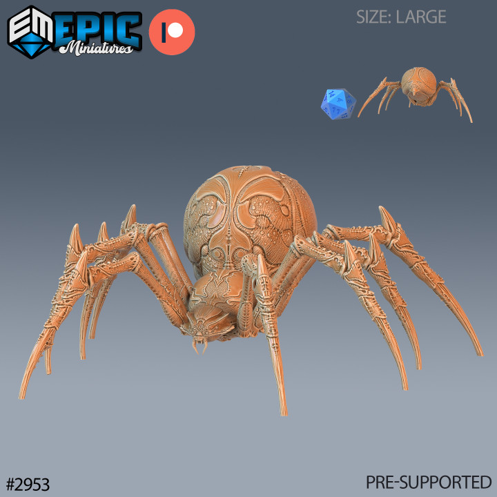 Giant Dungeon Spider Set / Huge Cave Arachnid / Evil Crawler / Forest Arachne / Wild Animal Encounter image