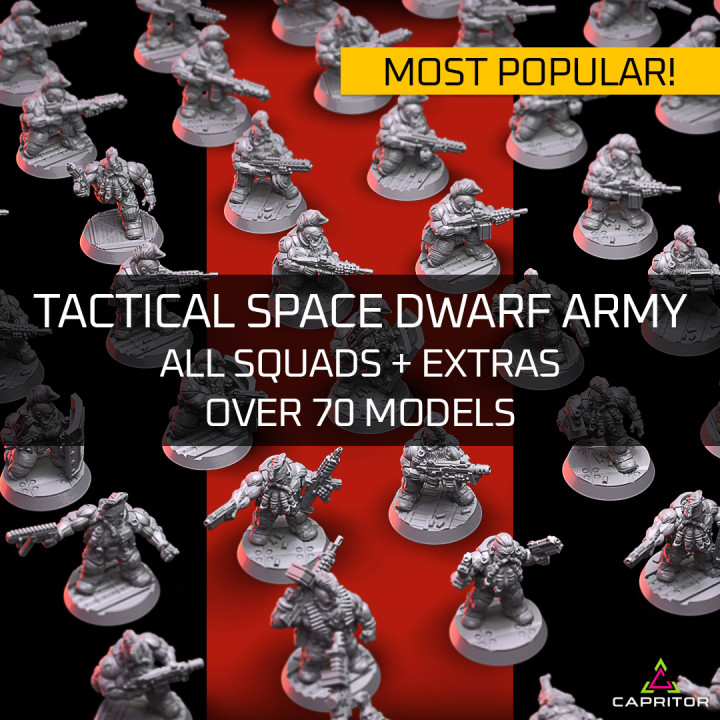 "Tactical Space Dwarf Army - All 10 Squads + Extras" Kickstarter Package (70+ Models) image