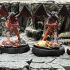 Magma Mephit Set / Devil Imp / Winged Evil Humanoid / Fire Elemental / Flying Flame Encounter print image