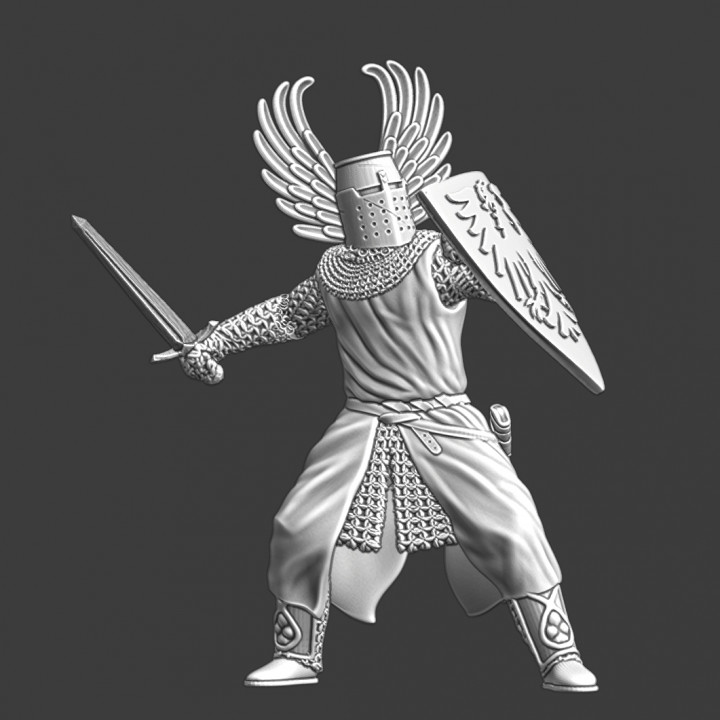 Medieval German Knight with winged helmet image