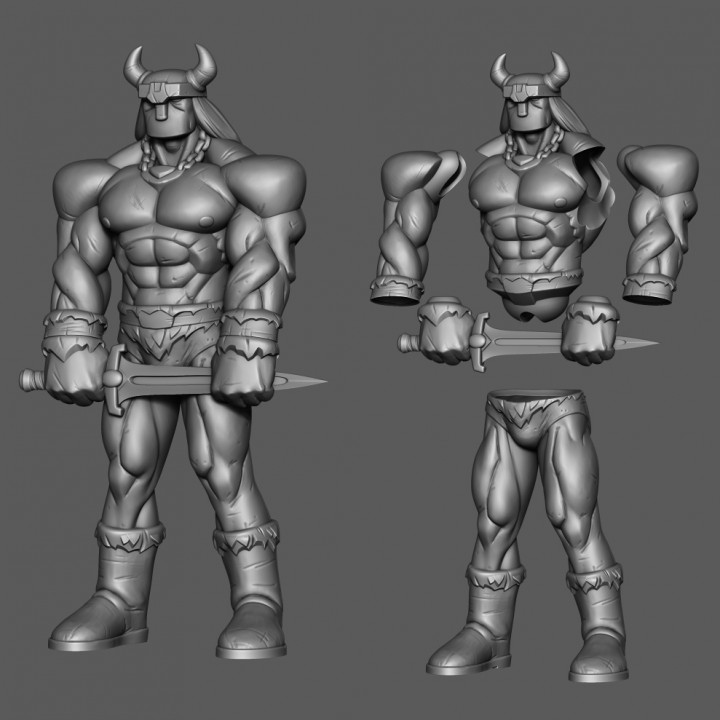 Barbarian Dude