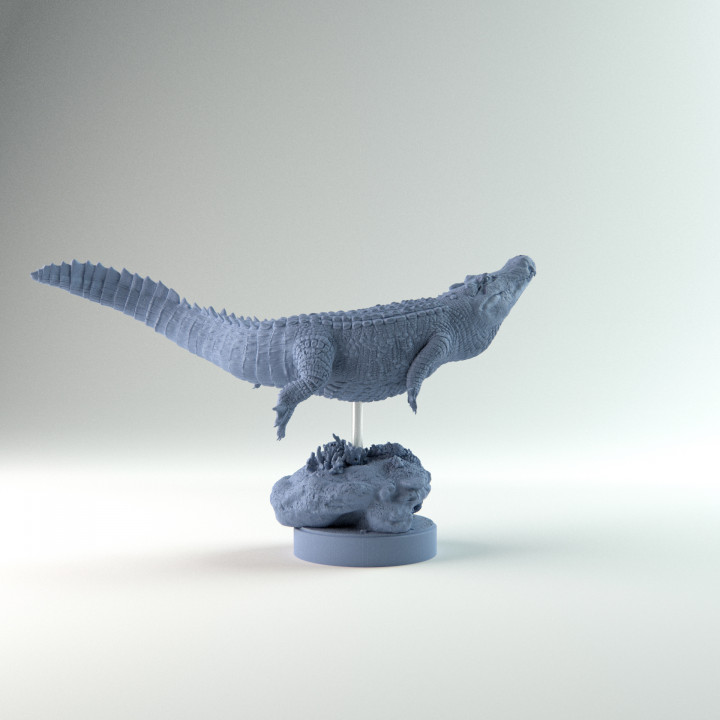 Deinosuchus swimming 1-35 scale pre-supported prehistoric alligator