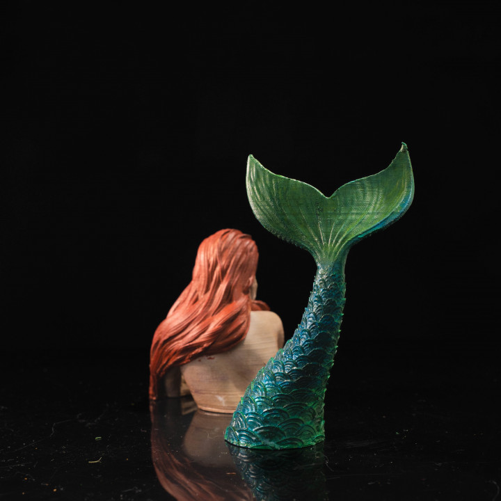 Mermaid 02 - Lorelai image