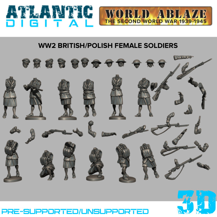 WW2 British/Polish Female Soldiers image