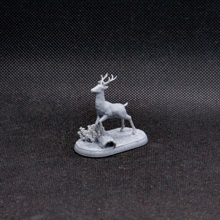Stag Leaping - The Hunt image