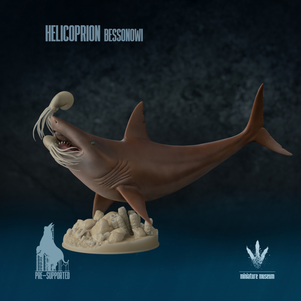 3D Printable Helicoprion bessonowi Feeding by Miniature Museum