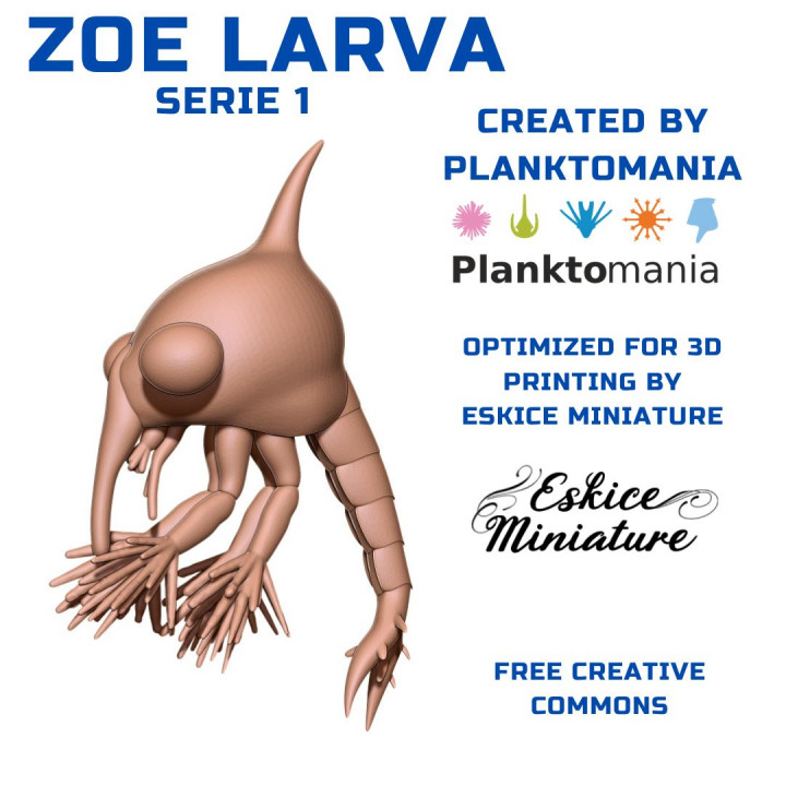 Zooplankton serie 1 - 7 models - Print your educational object ! FREE image