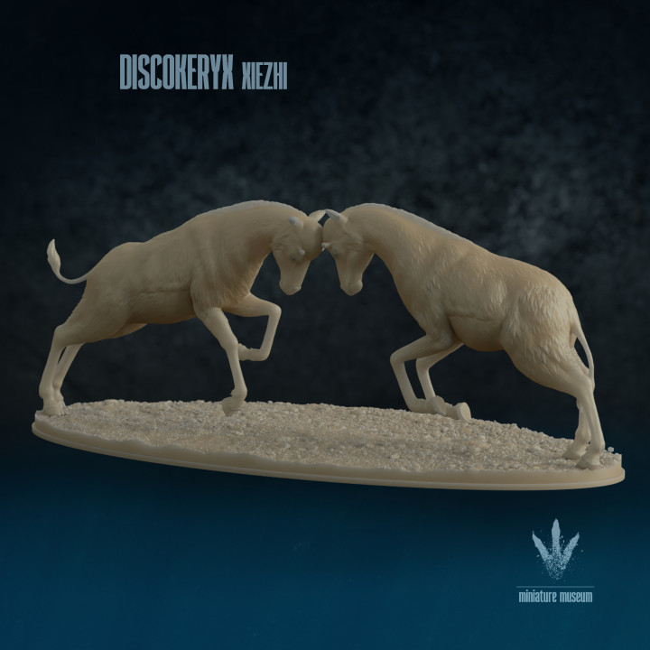 Discokeryx xiezhi : Clash
