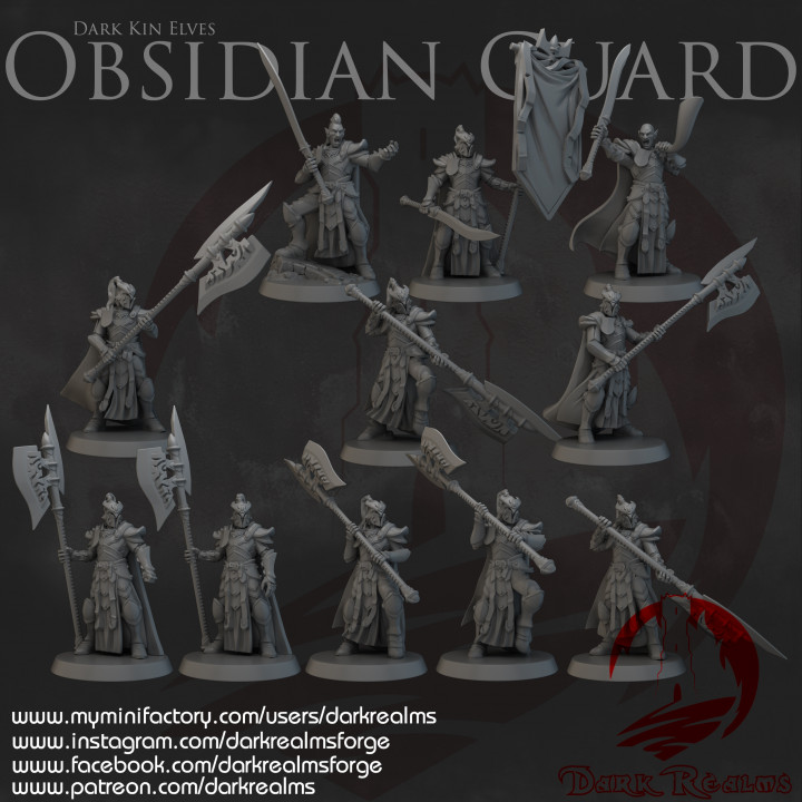 Dark Realms - Dark Kin Elves - Obsidian Guard image