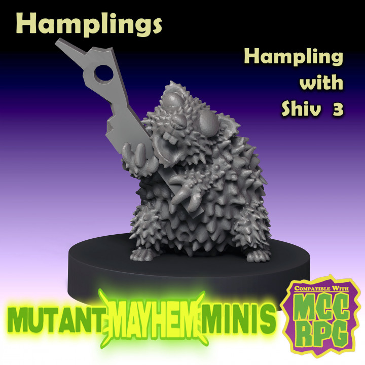 Hamplings: Hampling with Shiv 3 image