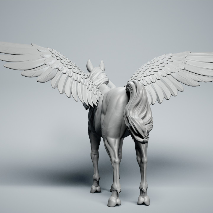 Pegasus Horse image