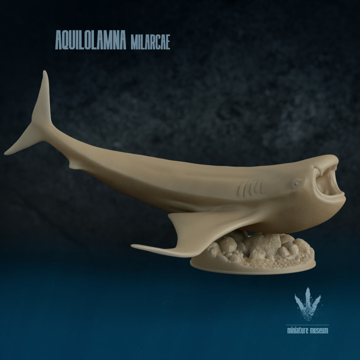 Aquilolamna milarcae : Prehistoric Shark image