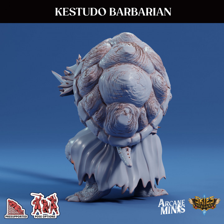 Kestudo Barbarian image