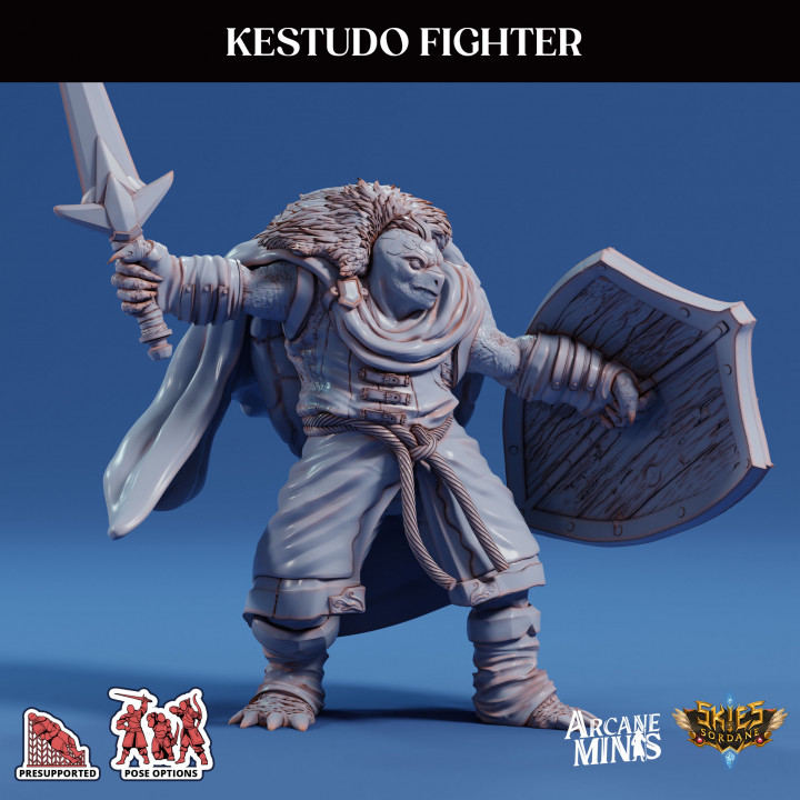 Kestudo Fighter image