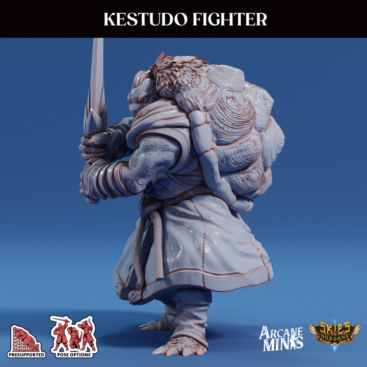 Kestudo Fighter image