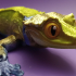 Crested Gecko Articulated Toy, Snap-Fit Head, Cute Flexi print image