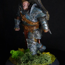 Picture of print of Dragon Armored Ogre