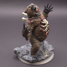 Dragon-Cursed Bear