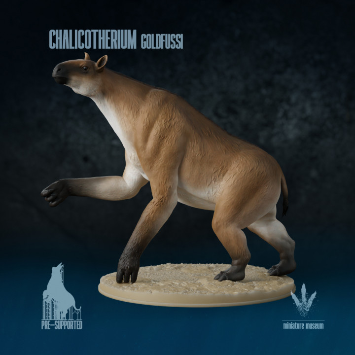 Chalicotherium goldfussia : The Knuckle-walking Horse image