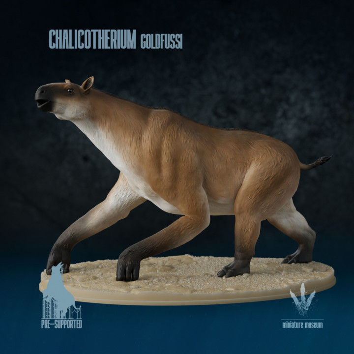 Chalicotherium goldfussia : Alarm call image