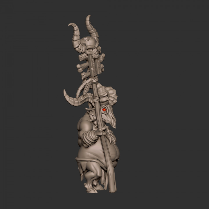 Fallen Shamans (2 Models) image