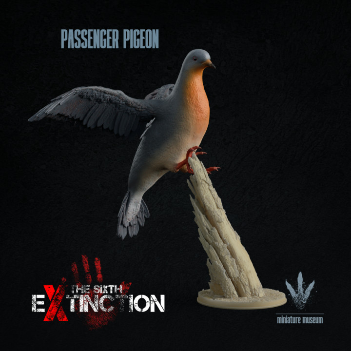Passenger pigeon : Landing image