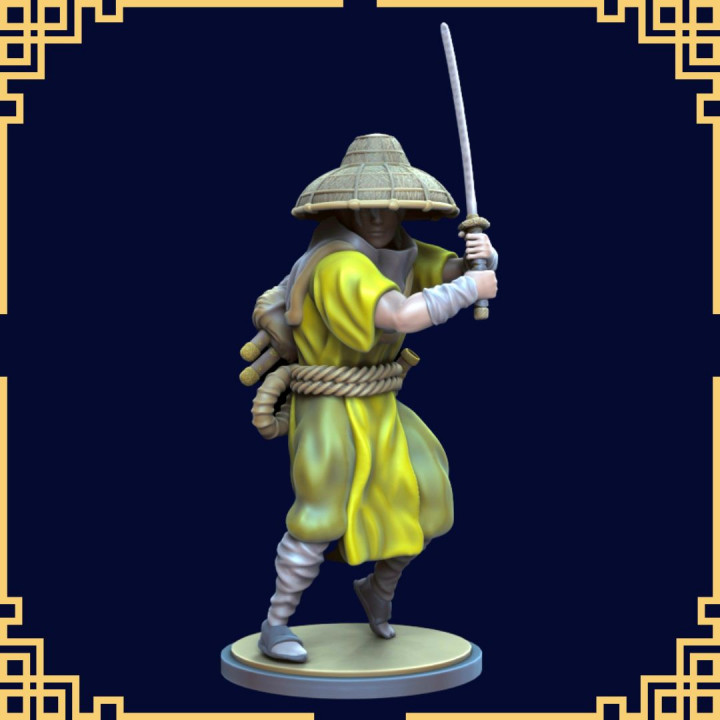 Ronin Warrior