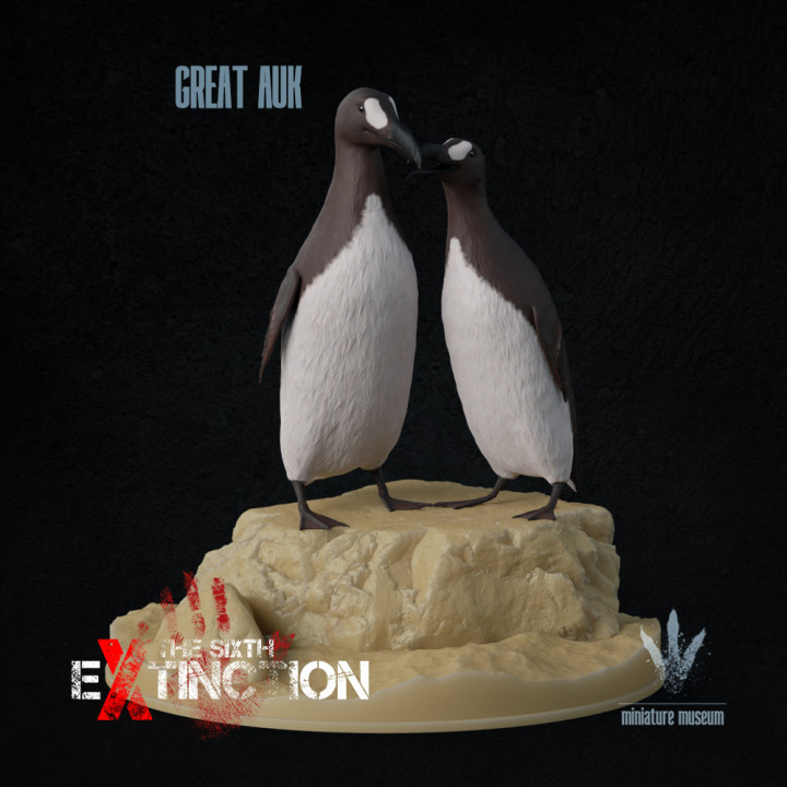アンティーク　プリント　フレーム　GREAT  AUK 3D Printable Great auk : Pinguinus impennis by Miniature Museum