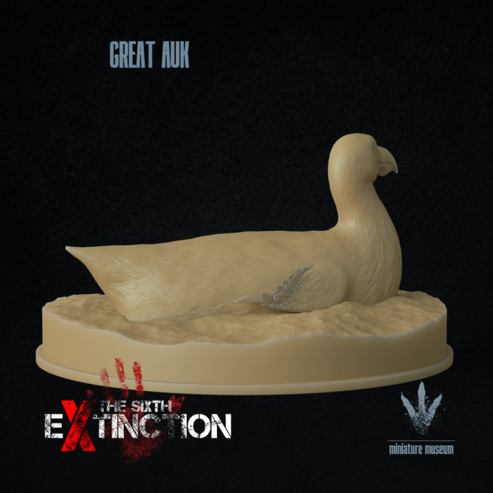 Great auk : Swimming image